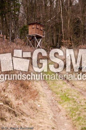 Hochstände (135 von 154).jpg